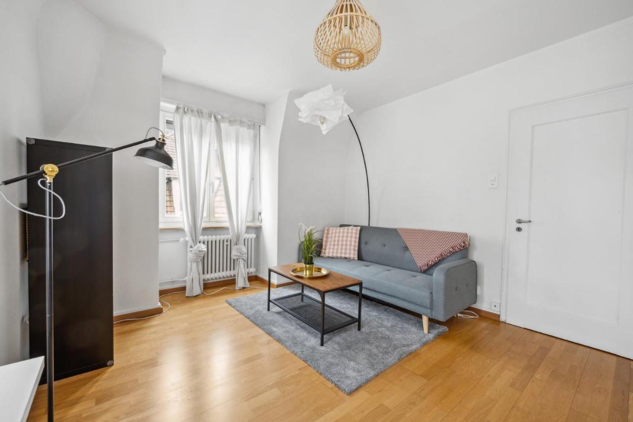 Cozy Apartment In The Heard Of Zurich Sonnegg Exterior foto